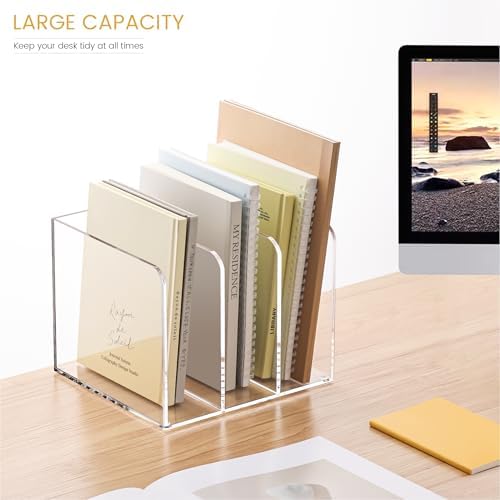HeZone Acrylic Magazine File Holder,Clear File Organizer with 3 Compartment