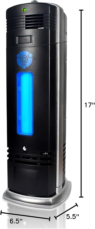B-1000 Permanent Filter Ionic Air Purifier Pro Ionizer
