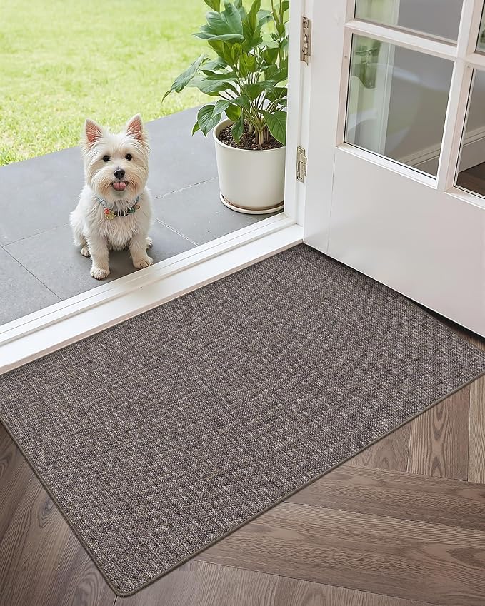 Color&Geometry Ultra Thin Indoor Door Mat 48"x72", Non Slip Rubber Backed Dirt