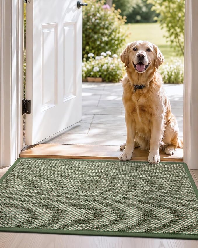 DEXI Ultra Thin Entryway Indoor Door Mat 24x36, Non Slip Rubber Backing Inside