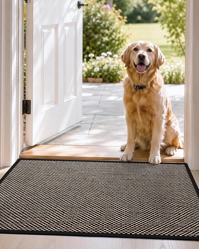 DEXI Ultra Thin Entryway Indoor Door Mat 17x30, Non Slip Rubber Backing Inside
