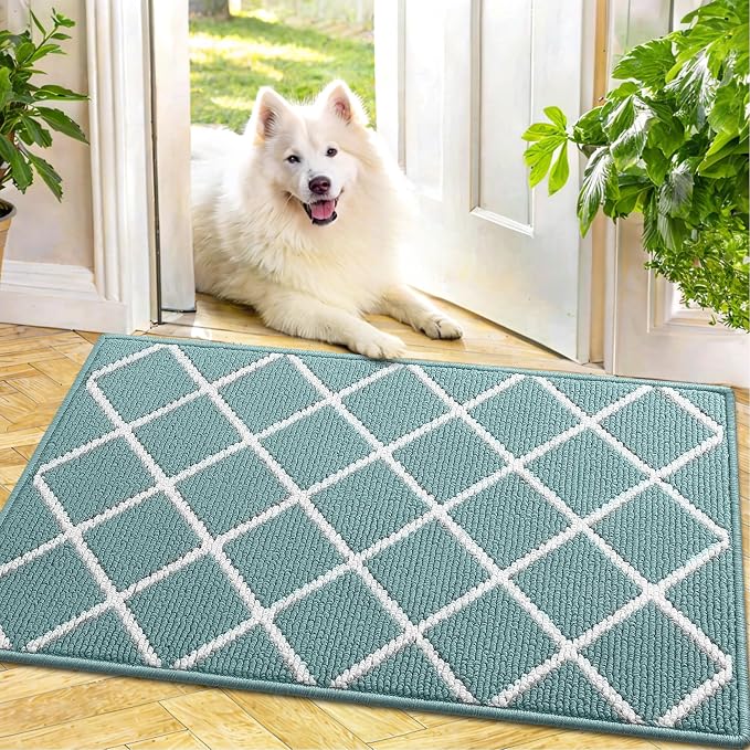 Finchitty Indoor Door Mat, Dirt Resistant and Absorbent, Low-Profile, Washable