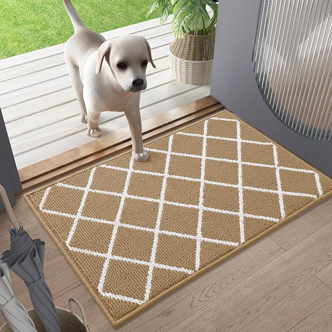Finchitty Indoor Door Mat, Dirt Resistant and Absorbent, Low-Profile, Washable