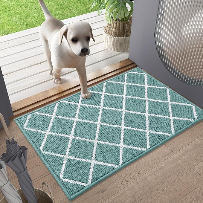 Finchitty Indoor Door Mat, Dirt Resistant and Absorbent, Low-Profile, Washable
