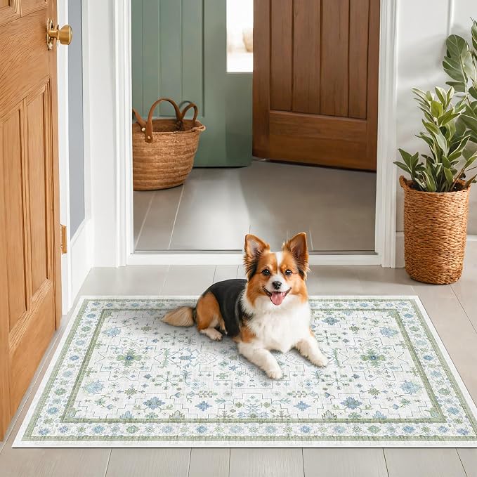 Blue and Green Washable Entryway Rugs 3x5