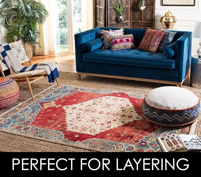 SAFAVIEH Area Rug 4x6