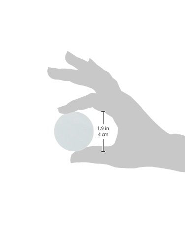 Omicron 170047R Nylon Membrane Filters, 0.2 μm, 47 mm