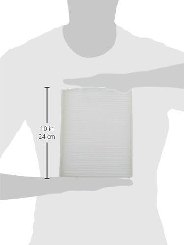 Motorcraft FP-68 Cabin Air Filter, Original Version