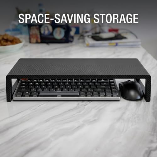 Fayquaze Monitor Stand Riser with USB Hub, Ergonomic Laptop Stand, Desk Organizer for Computer