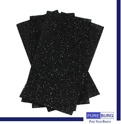 PUREBURG Replacement Filter Set Compatible with Hunter HP100 HT100 Air Purifier,2-Pack H13 HEPA + 4 x Activated Carbon Pre-Filters 4-Stage Filtration Air Clean VOCs