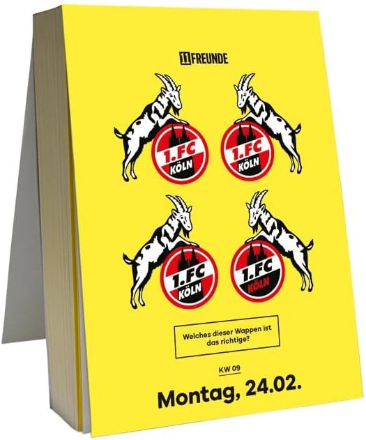 11FREUNDE - Quiz Calendar 2025 – 365 Questions for Quiz Ultras, Daily Tear-Off Calendar with Stand Function – 11.8 x 15.9 cm Format – Desk Calendar