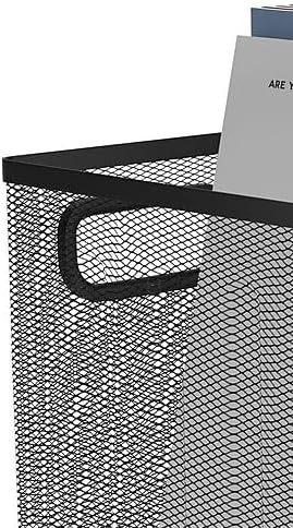 TRU RED Wire Mesh File Organizer, Matte Black, 2-Pack