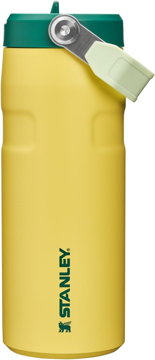 STANLEY IceFlow Flip Straw 2.0 Water Bottle 16 oz | Built-In Straw