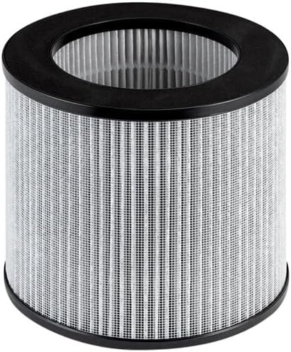 Bissell Replacement High Efficiency and Carbon Filter