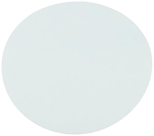 Omicron 170047R Nylon Membrane Filters, 0.2 μm, 47 mm