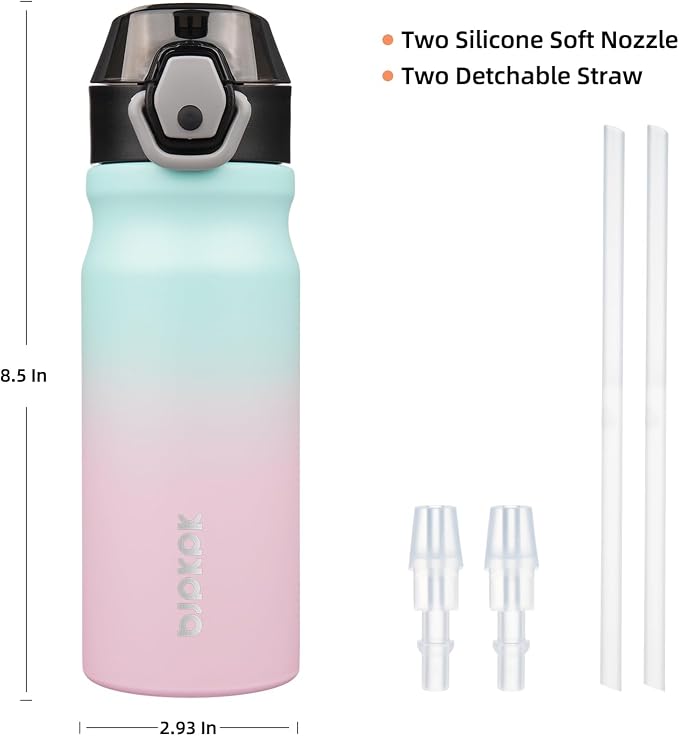 BJPKPK 18 oz Water Bottle with Straw & Handle, Insulated Stainless Flask | Leak