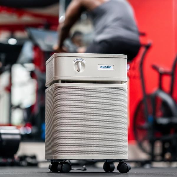 Austin Air HealthMate Plus Air Purifier, Model B450