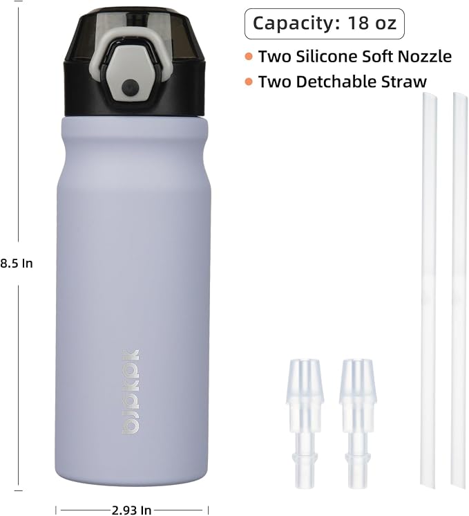 BJPKPK 18 oz Water Bottle with Straw & Handle, Insulated Stainless Flask | Leak