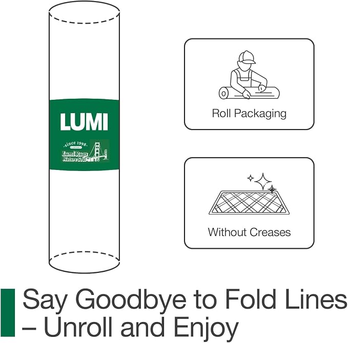 LUMI Ultra Thin Indoor Door Mat