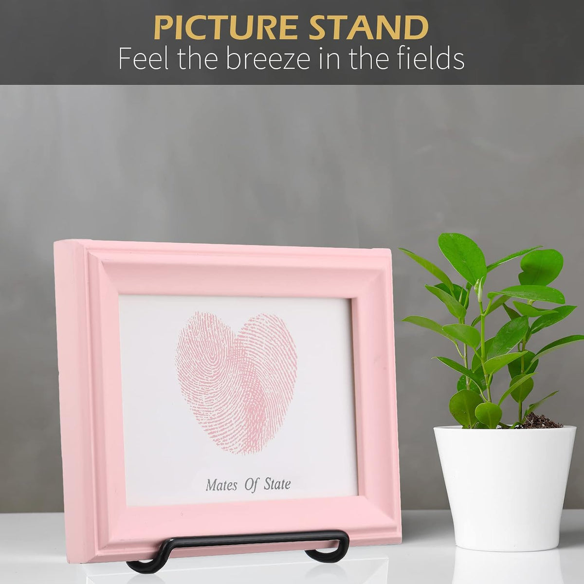 Kenning 24 Pack Book Display Stand, Foldable Metal Plate Easel, Black