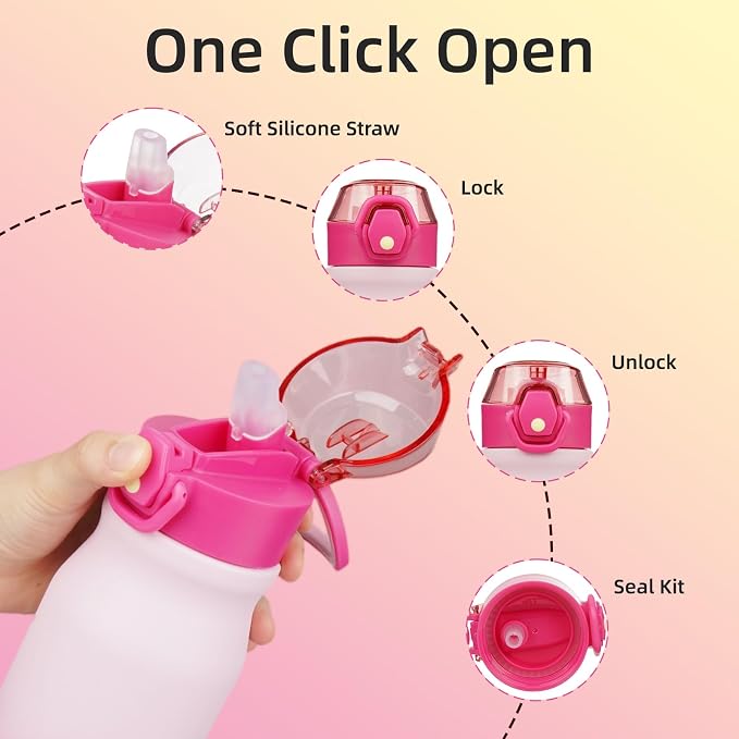 BJPKPK 25 oz Insulated Water Bottle, Stainless Steel Flask | Leak Proof Locking