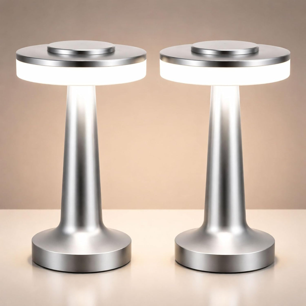Riakrum 2 Pcs LED Cordless Table Lamp Bulk Rechargeable,Silver