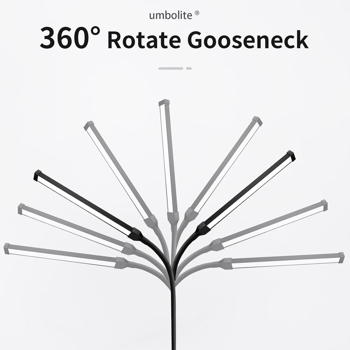 Lash Light, LED Floor Lamp, Reading Floor Lamp, Adjustable Gooseneck, 3 Heights, 10W Dual Brightness, Portable Standing Lamp for Eyelash Extensions, Makeup, Office