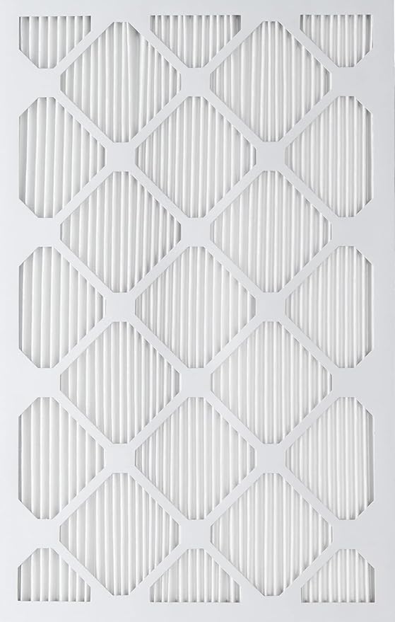 Nordic Pure 20x25x1 Tru Mini Pleat MERV 12 AC Furnace Air Filters – 2.5X More