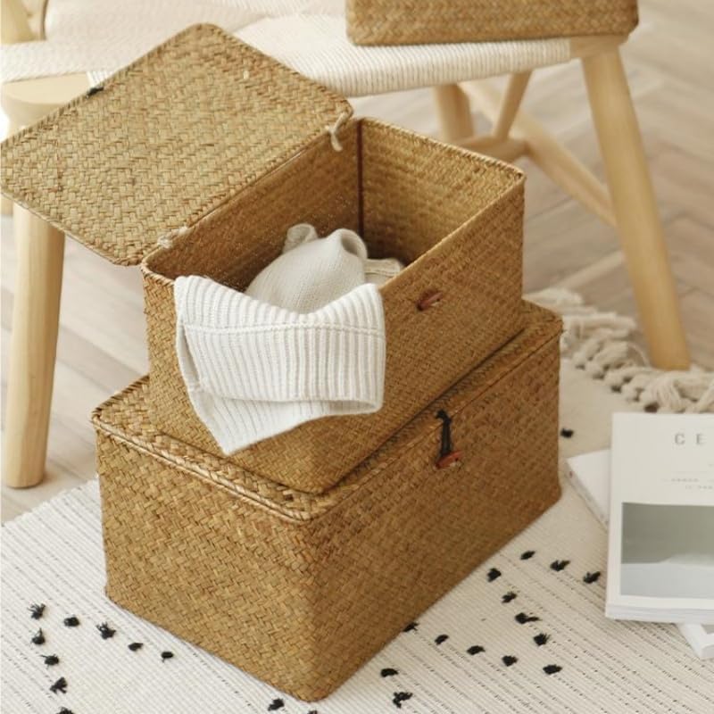 Wicker Basket with Lid, Seagrass Storage Basket, Woven Baskets for Storage, Decorative Storage Baskets for Shelf Organizing, Natural
