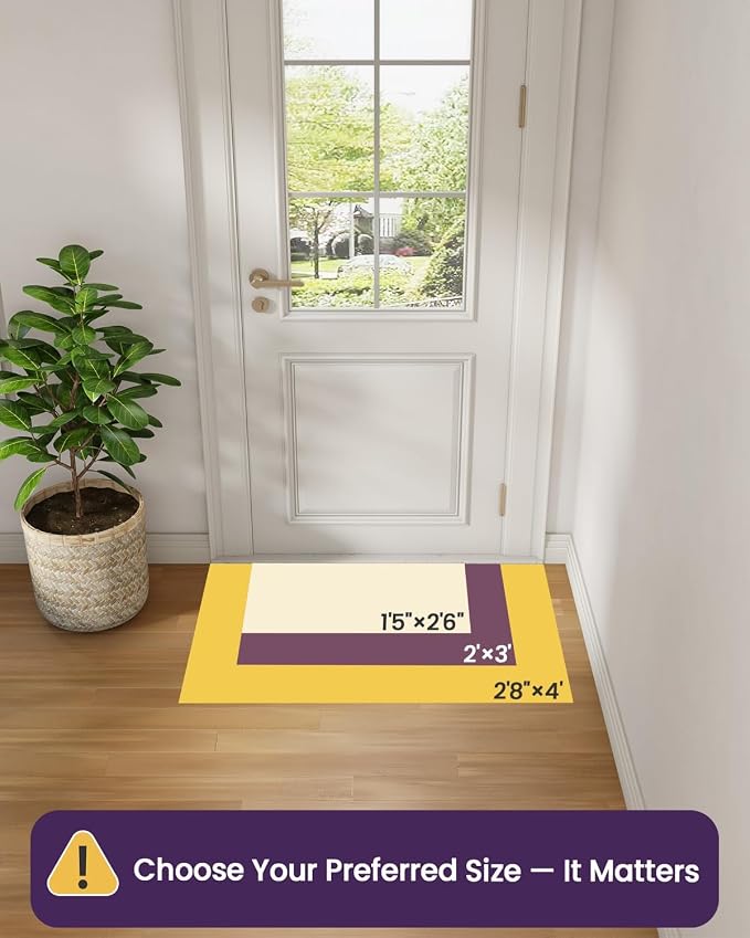 DEXI Ultra Thin Entryway Indoor Door Mat 17x30, Non Slip Rubber Backing Inside