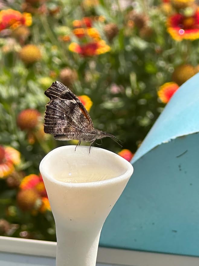 5 Pack, Bee Watering Station, 100% Handmade Porcelain, Bee and Butterfly Feeder