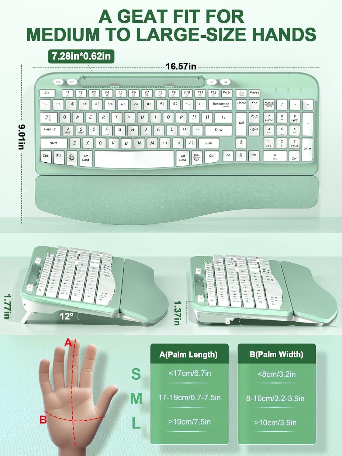EAYBLLY 2.4G Wireless Ergonomic Keyboard, Full Size Wave Keys with Memory Foam Wrist Rest & 7.28in Phone Holder, USB-C Adapter Included for Windows Mac Chrome OS, Office or Home (Mint Green)