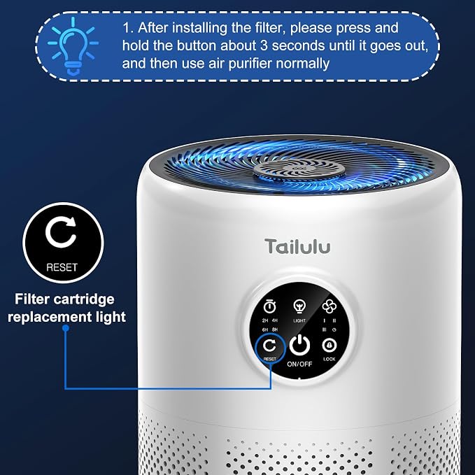 Tailulu 2 Pack D10 Replacement Filter, Air Purifier Filter