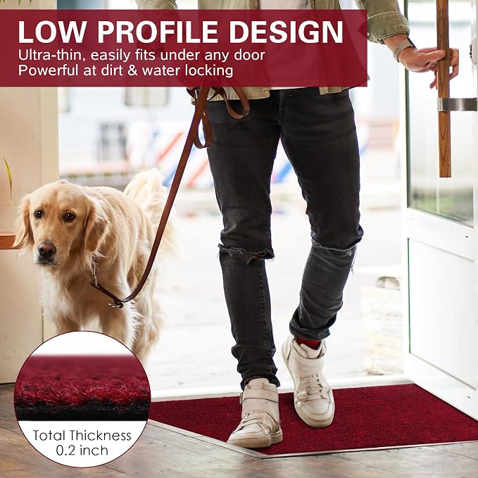 Front Door Mat Indoor and Outdoor, Non-Slip Low Profile Doormat 60"x35"