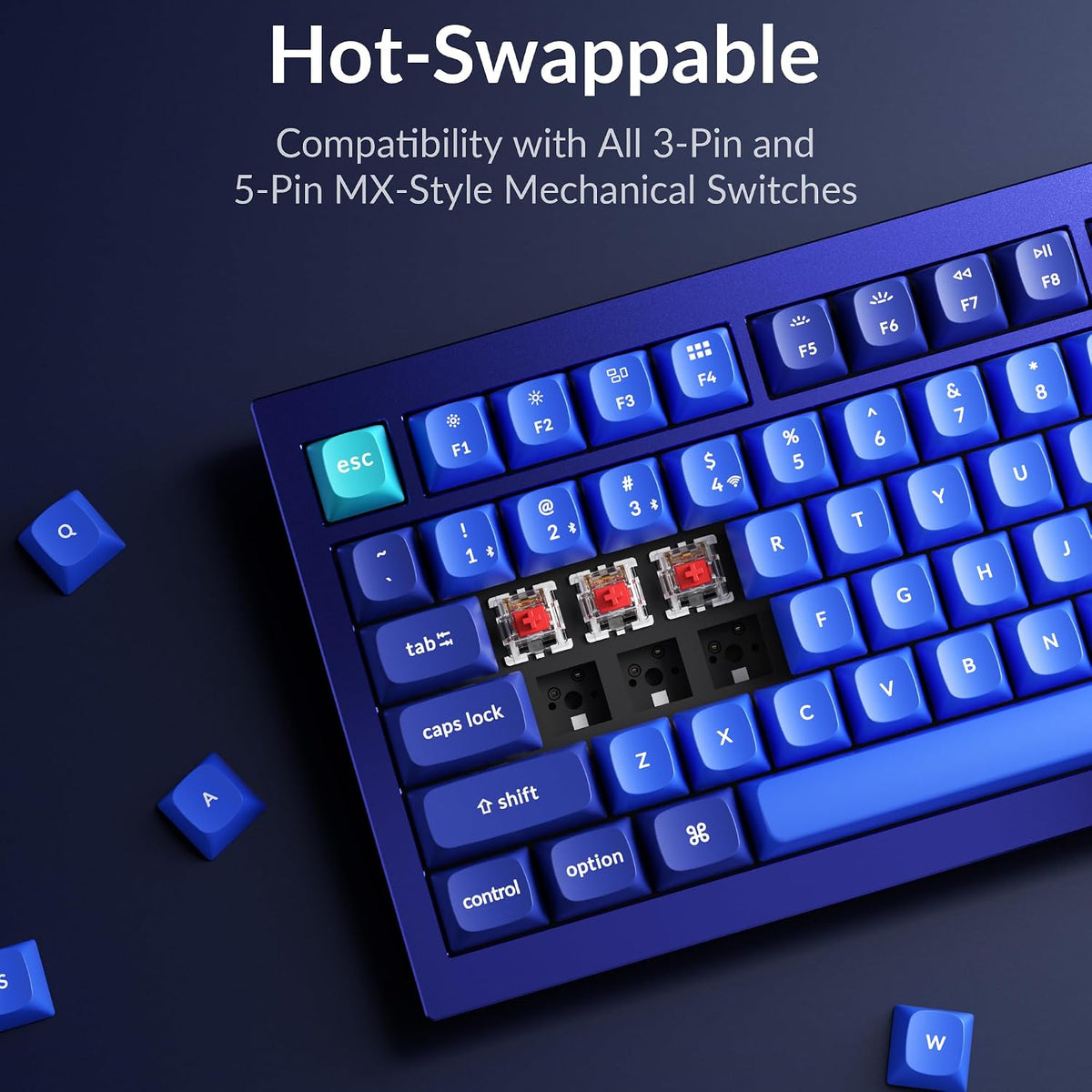 Keychron Q1 RGB Wired Custom Mechanical Keyboard, 75% Layout RGB Backlight with Hot-swappable Gateron G Pro Red Switch Double Gasket Compatible with Mac Windows Linux (Blue) -Version 2