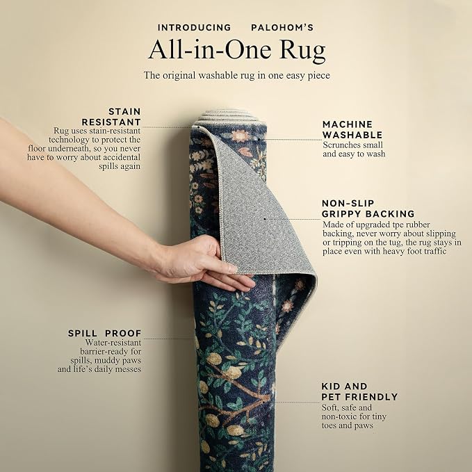 Washable Area Rugs for Living Room: 5x7 Bedroom Rug Vintage Area Rug Stain
