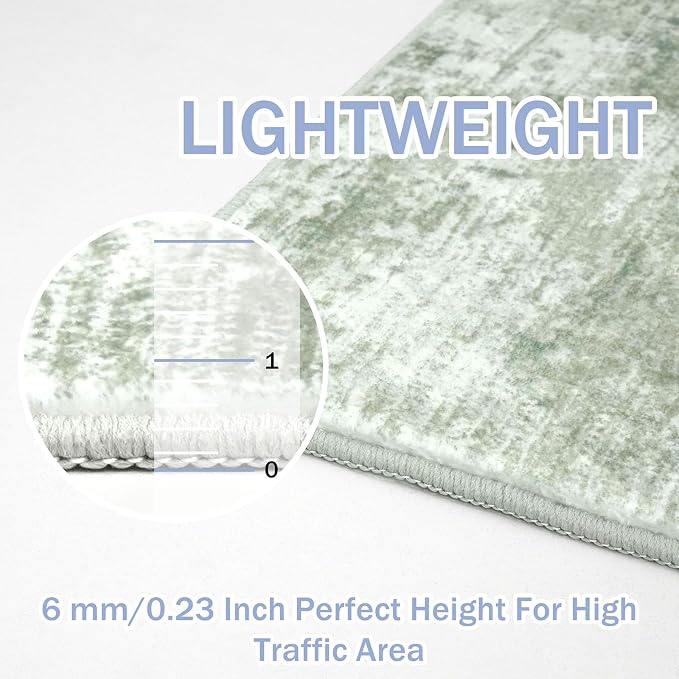 IOHOUZE Abstract Area Rug 4x6 Ft Washable Rugs