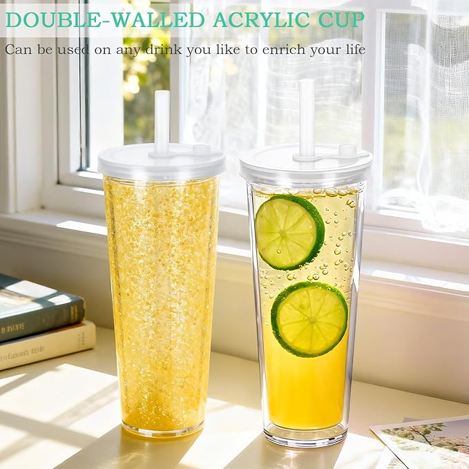 6 Pack 24Oz Snow Globe Tumblers, Double Wall Acrylic Pre Drilled Snow Globe Cup