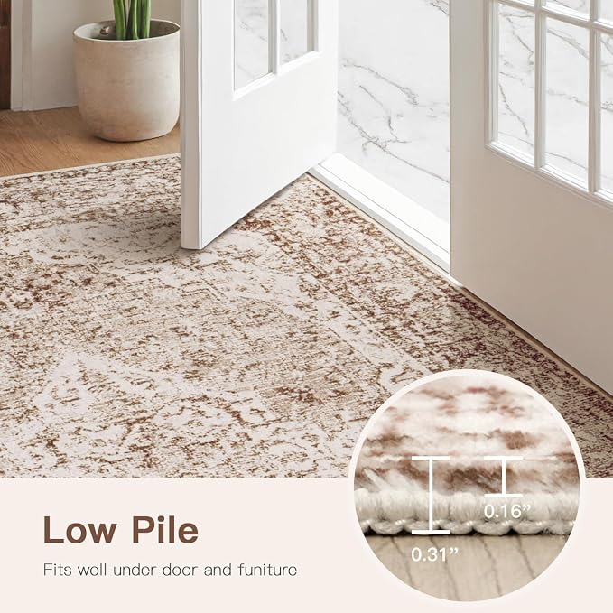 Lofus 3x5 Area Rugs for Living Room, Machine Washable Area Rug, Soft Small Rugs