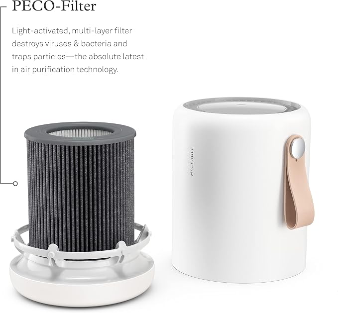 Molekule Air Mini & Air Mini+ PECO Filter
