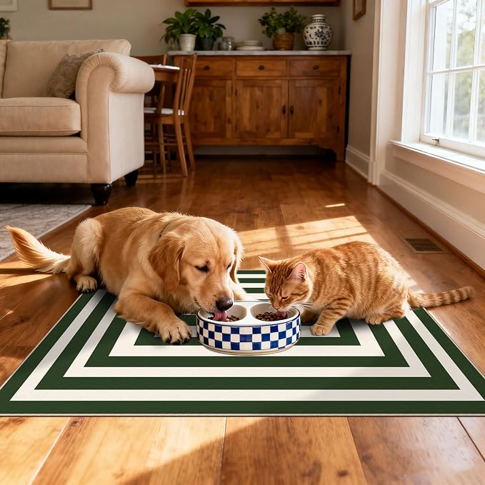 Modern Outdoor Rug