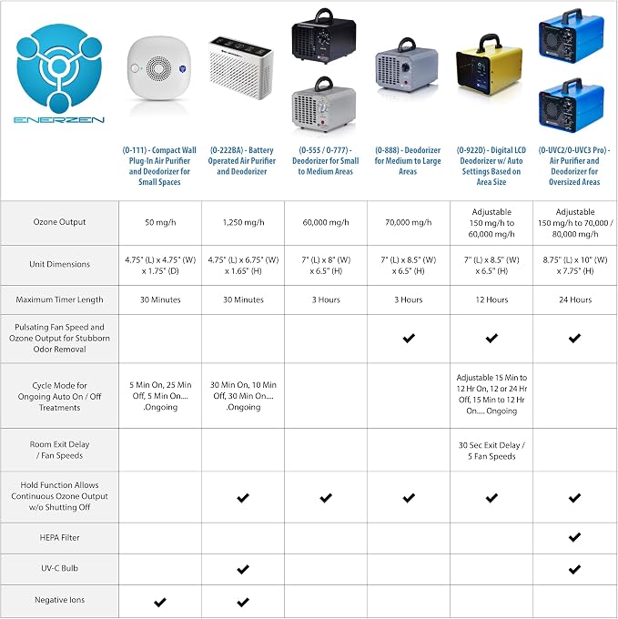 B-1000 Permanent Filter Ionic Air Purifier Pro Ionizer