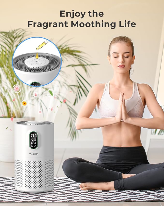 Air Purifiers for Home Large Room up to 1650 ft², WESTHEY H13 True HEPA Air