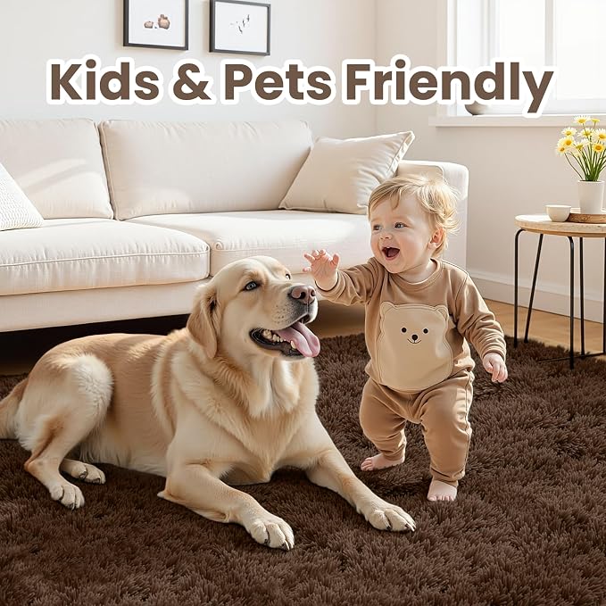 5x8 Area Rugs for Living Room: Soft Fluffy Shag Brown Rugs for Bedroom