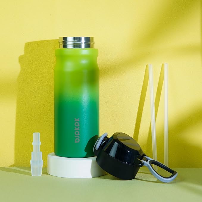 BJPKPK 18 oz Water Bottle with Straw & Handle, Insulated Stainless Flask | Leak