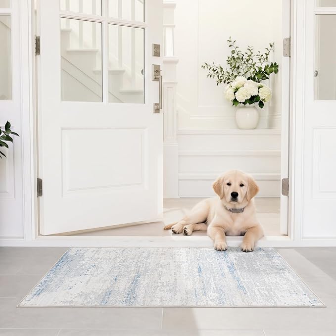 Washable Rugs 2x3 Area Rugs for Living Room- Modern Abstract Entryway Rugs for