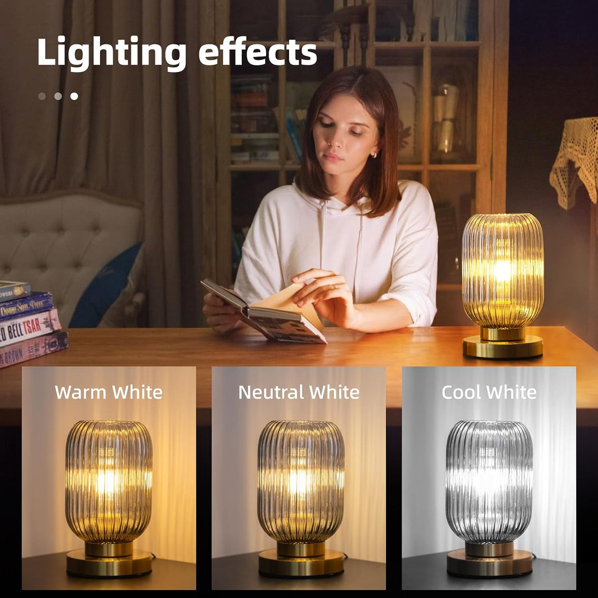 Modern Bedside Table Lamp, Smoky Gray Glass Table Lamp, Plug in