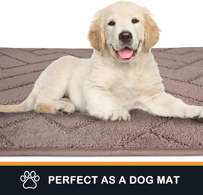 PURRUGS Dirt Trapping Door Mat 32" x 70", Non-Slip Machine Washable Entry Rug