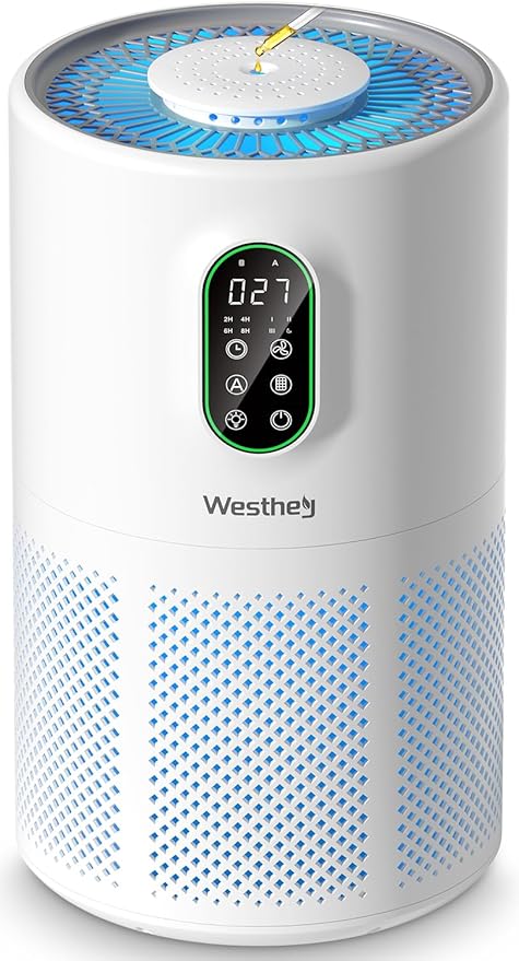 Air Purifiers for Home Large Room up to 1650 ft², WESTHEY H13 True HEPA Air
