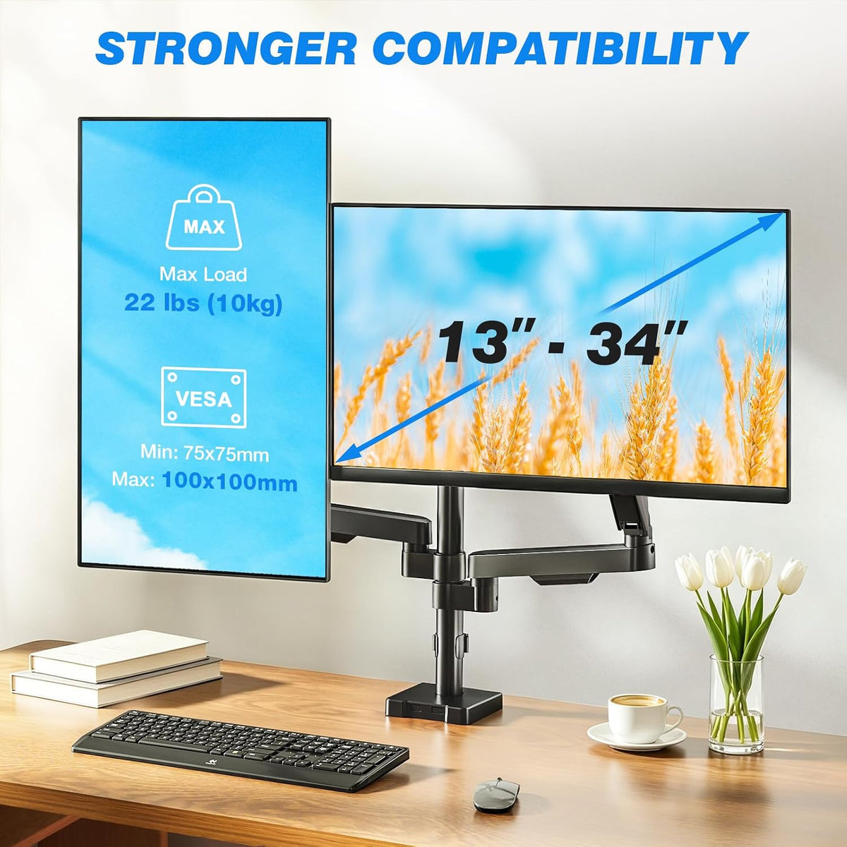 Rfiver Dual Monitor Stand Desk Mount for 17-34" Screens Holds up to 22lbs